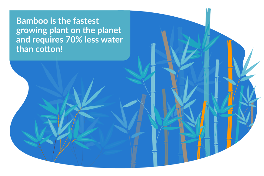 bamboo